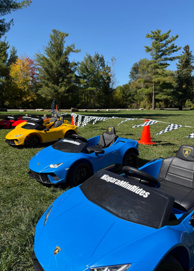 Row of blue, yellow, and red Lamborghini ride-on cars arranges outdoors on grass.